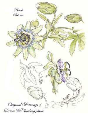 cover image of Original Drawings of Leaves and Climbing Plants